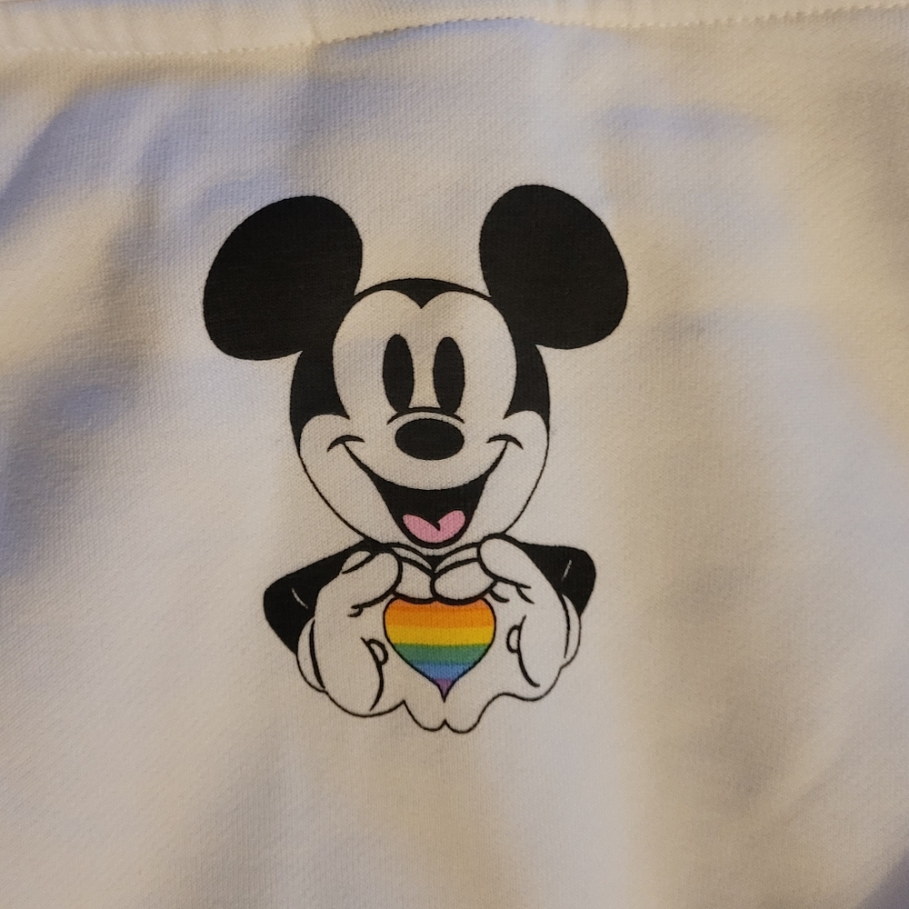 Disneyland Parks Pride Sweatshirt Hoodie XS Adult NWT - Picture 4 of 6
